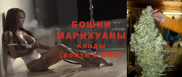 индика Арсеньев