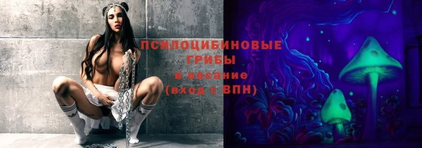 дживик Аркадак