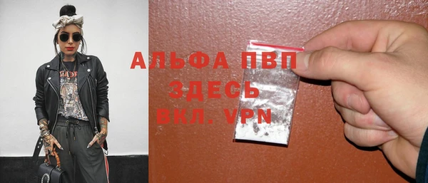 индика Арсеньев