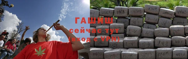индика Арсеньев