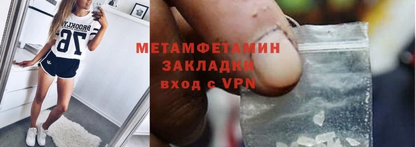 индика Арсеньев
