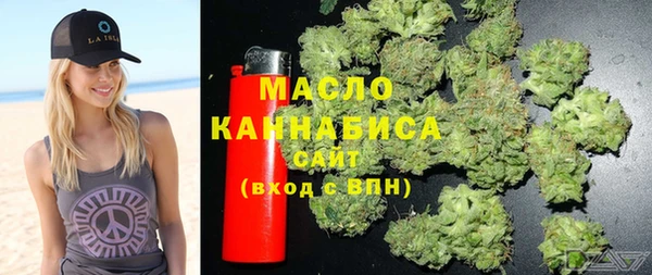 индика Арсеньев
