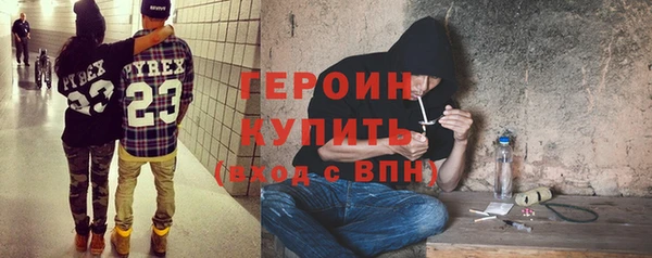 индика Арсеньев