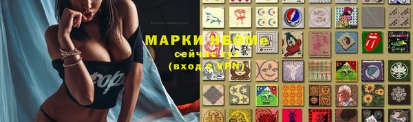 дживик Аркадак