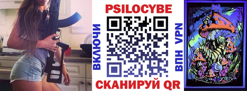 Псилоцибиновые грибы Psilocybe  Гдов 